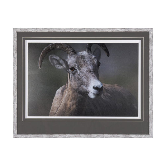 Mercana - Big Horn Sheep by Chad Mackay a Hand Embellished Textured Framed Art Print Matted under Glass - 14364 view 1
