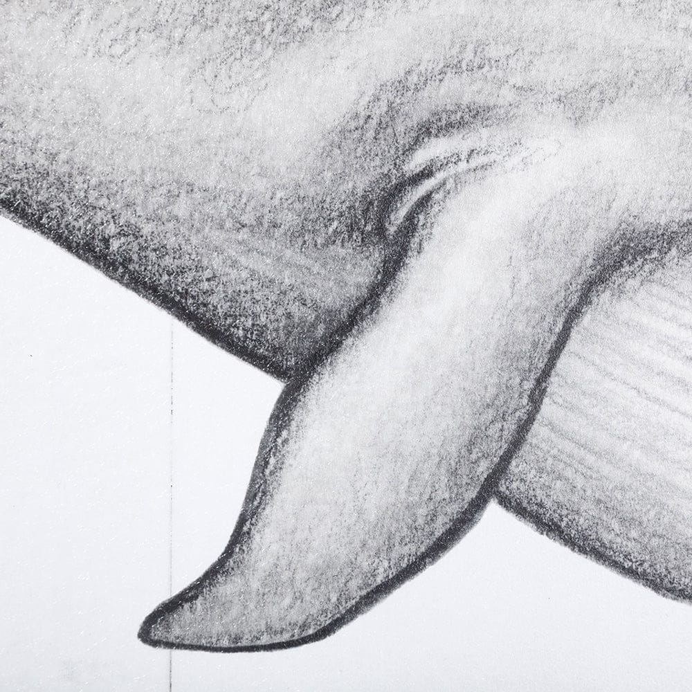 Mercana - Blue Whale by Mercana Studio a Hand Embellished Textured Framed Art Print - 13564 view 6