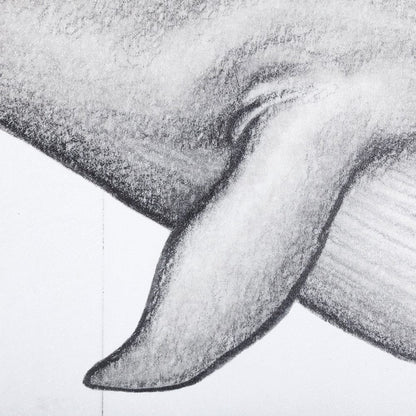 Mercana - Blue Whale by Mercana Studio a Hand Embellished Textured Framed Art Print - 13564 view 6