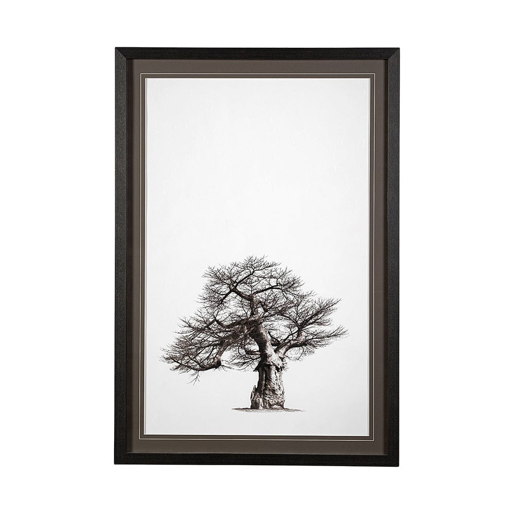 Mercana - Boabab Tree I by Tiedge a Framed Art Print Matted under Glass - 13555 view 1