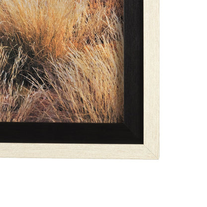 Mercana - Bold Adventure by Mercana Studio a Hand Embellished Textured Framed Art Photo Matted under Glass - 14943 view 3