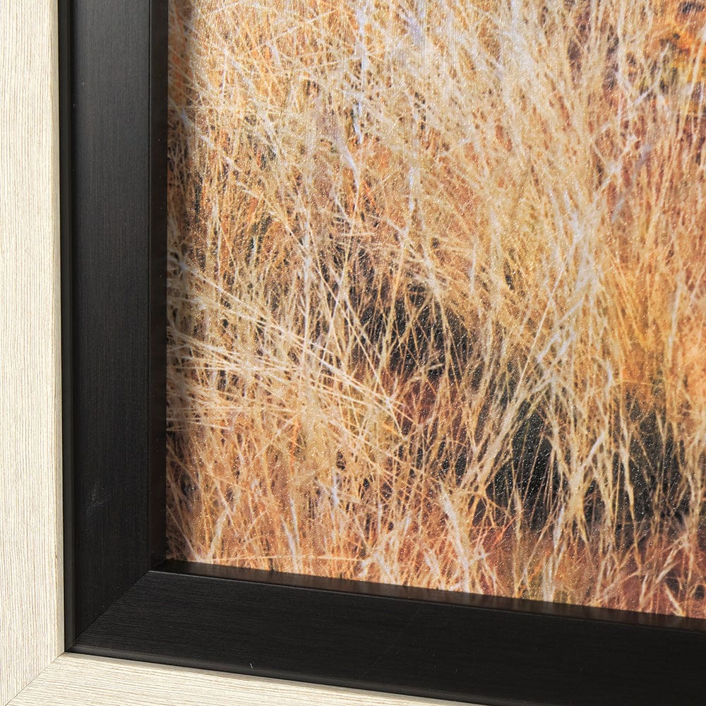 Mercana - Bold Adventure by Mercana Studio a Hand Embellished Textured Framed Art Photo Matted under Glass - 14943 view 5