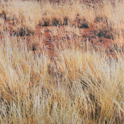 Mercana - Bold Adventure by Mercana Studio a Hand Embellished Textured Framed Art Photo Matted under Glass - 14943 view 6