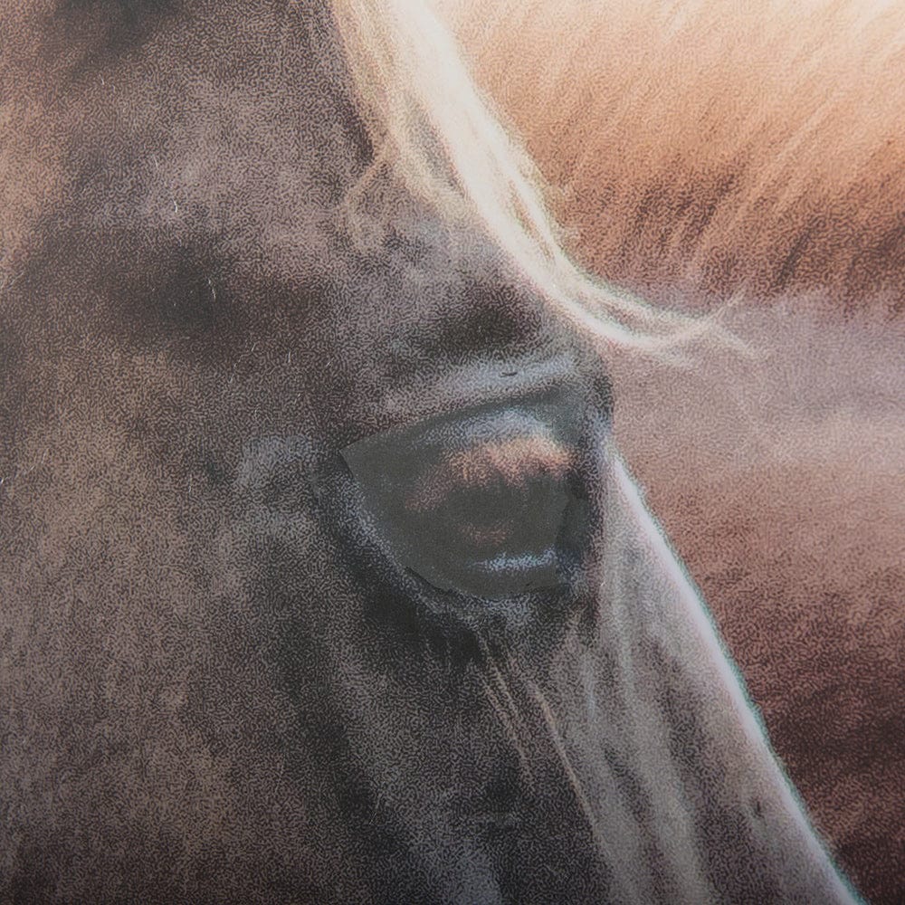 Mercana - Bold Equine - Run by Mercana Studio a Hand Embellished Textured Framed Art Print Matted under Glass - 14105 view 6