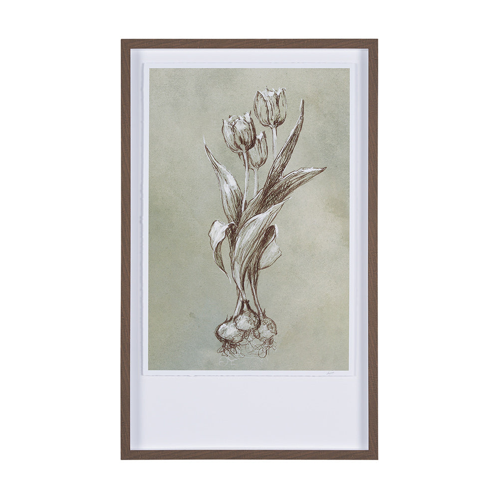 Mercana - Botanical Sketch I green by Mercana Studio Hand Embellished Framed Art Print Matted under Glass - 15352 view 1