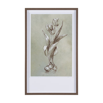 Mercana - Botanical Sketch I green by Mercana Studio Hand Embellished Framed Art Print Matted under Glass - 15352 view 1