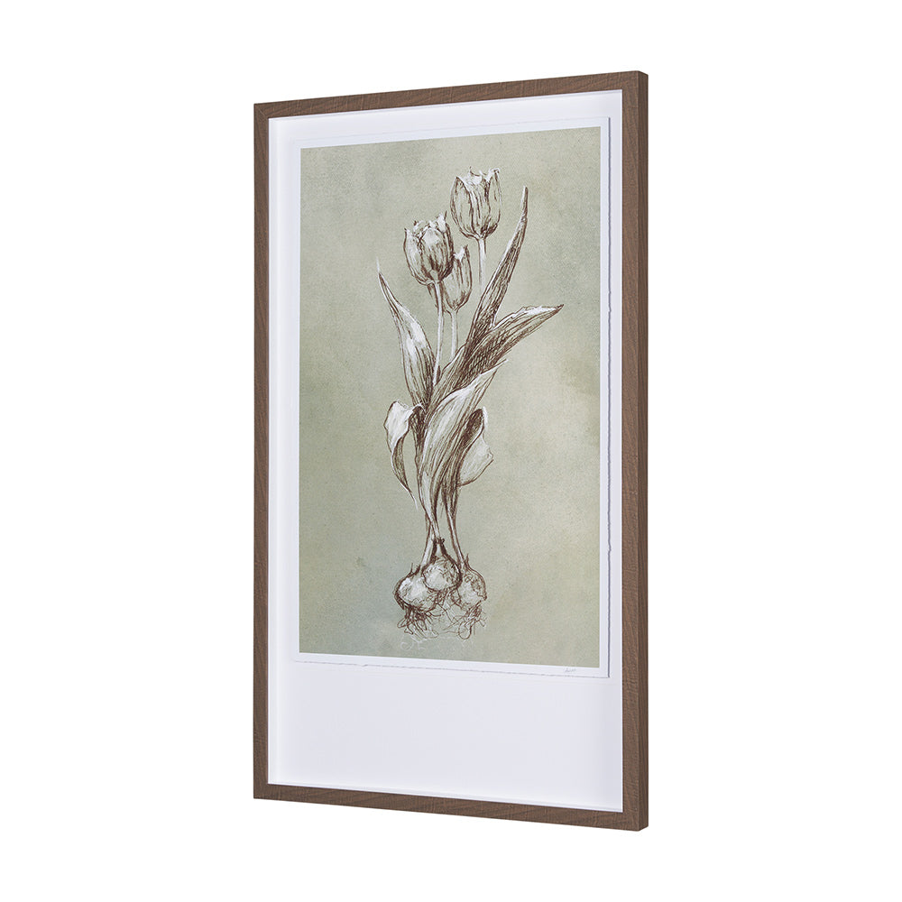 Mercana - Botanical Sketch I green by Mercana Studio Hand Embellished Framed Art Print Matted under Glass - 15352 view 2