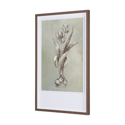 Mercana - Botanical Sketch I green by Mercana Studio Hand Embellished Framed Art Print Matted under Glass - 15352 view 2