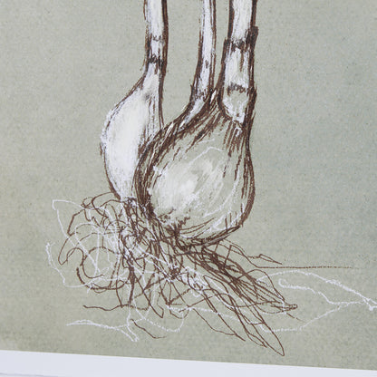 Mercana - Botanical Sketch I green by Mercana Studio Hand Embellished Framed Art Print Matted under Glass - 15352 view 6