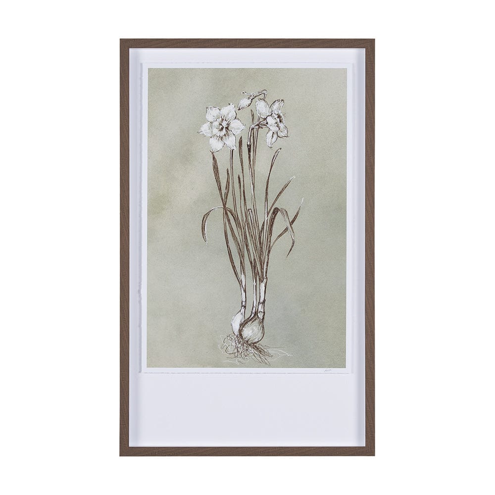 Mercana - Botanical Sketch II green by Mercana Studio Hand Embellished Framed Art Print Matted under Glass - 15353 view 1