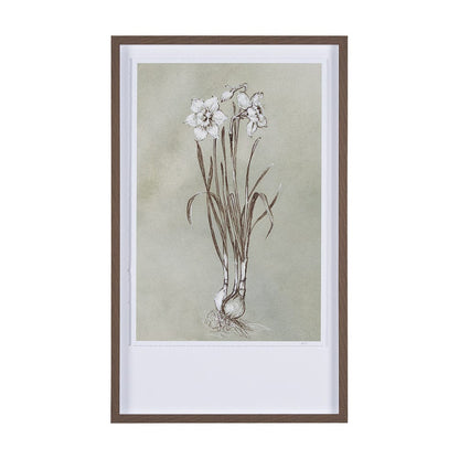 Mercana - Botanical Sketch II green by Mercana Studio Hand Embellished Framed Art Print Matted under Glass - 15353 view 1