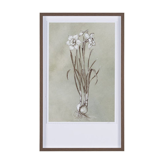Mercana - Botanical Sketch II green by Mercana Studio Hand Embellished Framed Art Print Matted under Glass - 15353 view 1