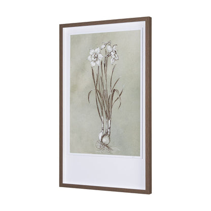 Mercana - Botanical Sketch II green by Mercana Studio Hand Embellished Framed Art Print Matted under Glass - 15353 view 2
