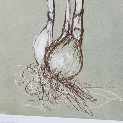 Mercana - Botanical Sketch II green by Mercana Studio Hand Embellished Framed Art Print Matted under Glass - 15353 view 6