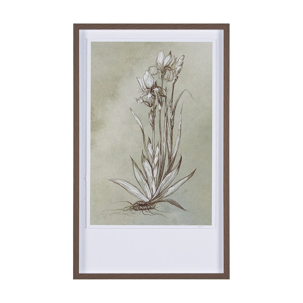 Mercana - Botanical Sketch IV green by Mercana Studio Hand Embellished Framed Art Print Matted under Glass - 15354 view 1