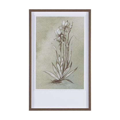 Mercana - Botanical Sketch IV green by Mercana Studio Hand Embellished Framed Art Print Matted under Glass - 15354 view 1
