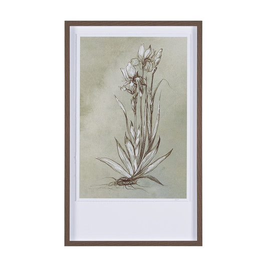 Mercana - Botanical Sketch IV green by Mercana Studio Hand Embellished Framed Art Print Matted under Glass - 15354 view 1