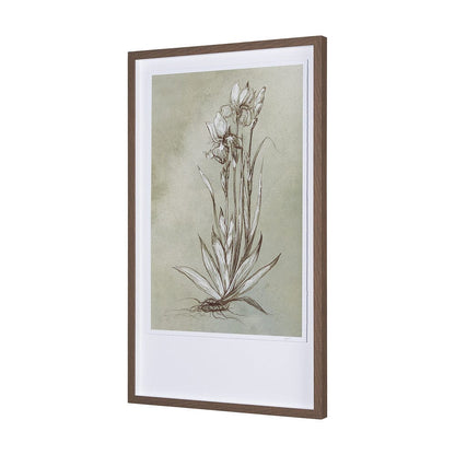 Mercana - Botanical Sketch IV green by Mercana Studio Hand Embellished Framed Art Print Matted under Glass - 15354 view 2