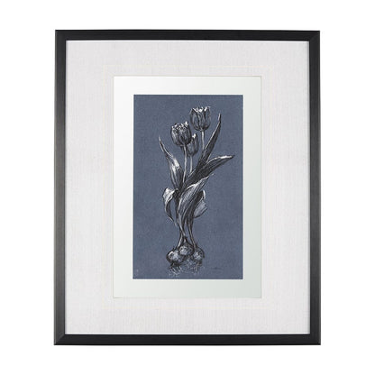 Mercana - Botanical sketches I Blue by Mercana Studio Hand Embellished Framed Art Print Matted under Glass - 14575 view 1