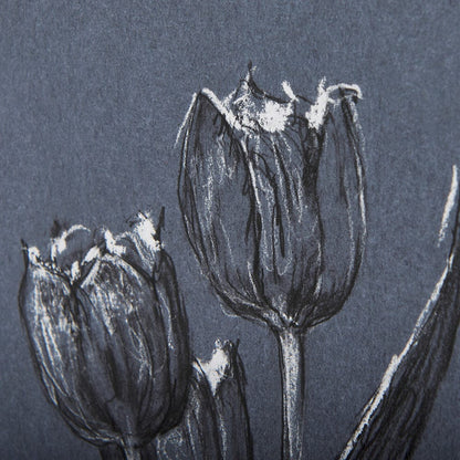 Mercana - Botanical sketches I Blue by Mercana Studio Hand Embellished Framed Art Print Matted under Glass - 14575 view 7