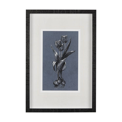 Mercana - Botanical sketches I Blue by Mercana Studio Hand Embellished Framed Art Print Matted under Glass - 14581 view 1