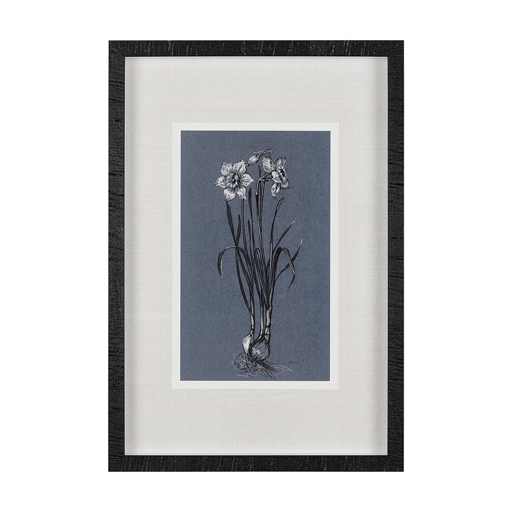 Mercana - Botanical sketches I Blue by Mercana Studio Hand Embellished Framed Art Print Matted under Glass - 14582 view 1