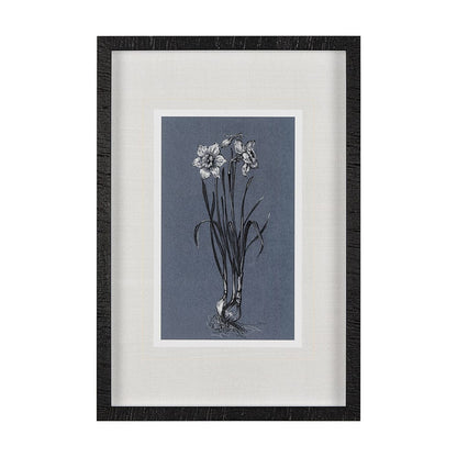 Mercana - Botanical sketches I Blue by Mercana Studio Hand Embellished Framed Art Print Matted under Glass - 14582 view 1