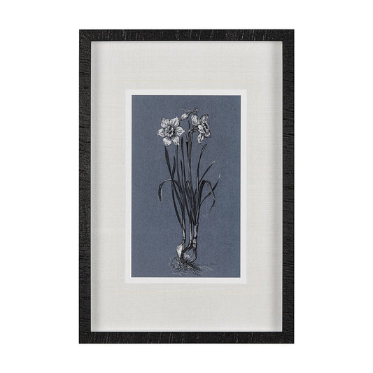 Mercana - Botanical sketches I Blue by Mercana Studio Hand Embellished Framed Art Print Matted under Glass - 14582 view 1