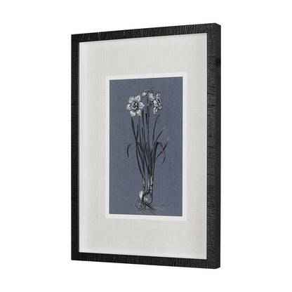 Mercana - Botanical sketches I Blue by Mercana Studio Hand Embellished Framed Art Print Matted under Glass - 14582 view 2