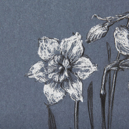 Mercana - Botanical sketches I Blue by Mercana Studio Hand Embellished Framed Art Print Matted under Glass - 14582 view 7