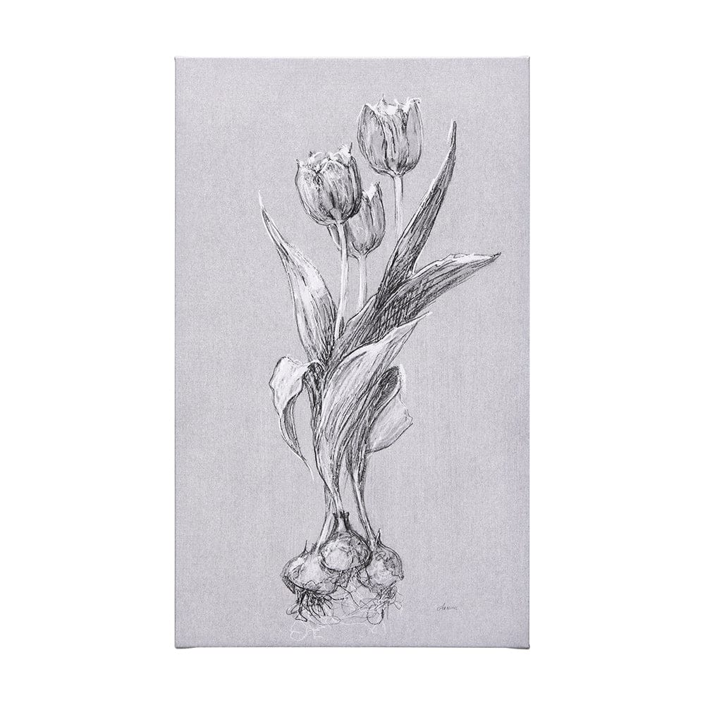 Mercana - Botanical sketches I Grey by Mercana Studio a Hand Embellished Textured Canvas - 102371-L view 1