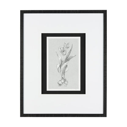 Mercana - Botanical sketches I Grey by Mercana Studio Hand Embellished Framed Art Print Matted under Glass - 14534 view 1