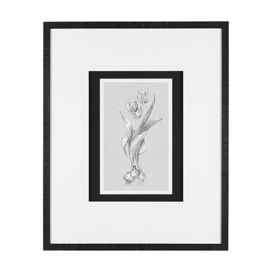 Mercana - Botanical sketches I Grey by Mercana Studio Hand Embellished Framed Art Print Matted under Glass - 14534 view 1