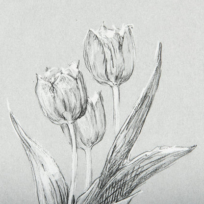 Mercana - Botanical sketches I Grey by Mercana Studio Hand Embellished Framed Art Print Matted under Glass - 14534 view 7