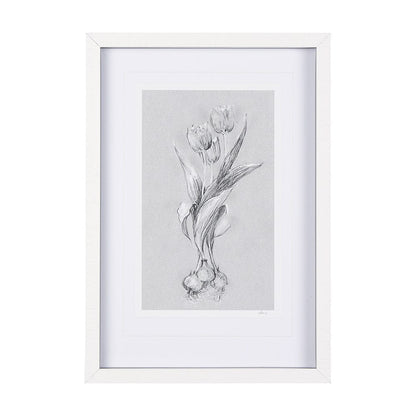 Mercana - Botanical sketches I Grey by Mercana Studio Hand Embellished Framed Art Print Matted under Glass - 14592 view 1