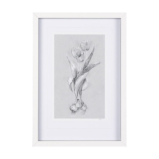 Mercana - Botanical sketches I Grey by Mercana Studio Hand Embellished Framed Art Print Matted under Glass - 14592 view 1
