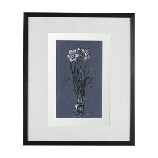 Mercana - Botanical sketches II Blue by Mercana Studio Hand Embellished Framed Art Print Matted under Glass - 14576 view 1