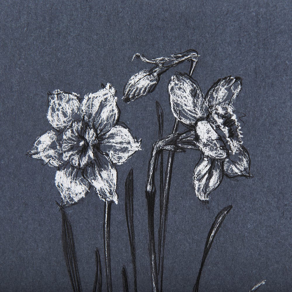 Mercana - Botanical sketches II Blue by Mercana Studio Hand Embellished Framed Art Print Matted under Glass - 14576 view 7
