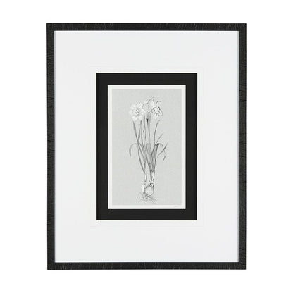 Mercana - Botanical sketches II Grey by Mercana Studio Hand Embellished Framed Art Print Matted under Glass - 14535 view 1