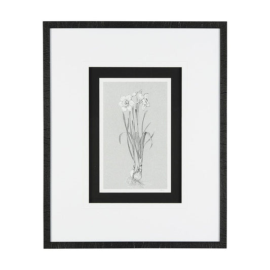 Mercana - Botanical sketches II Grey by Mercana Studio Hand Embellished Framed Art Print Matted under Glass - 14535 view 1