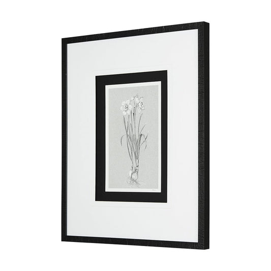Mercana - Botanical sketches II Grey by Mercana Studio Hand Embellished Framed Art Print Matted under Glass - 14535 view 2