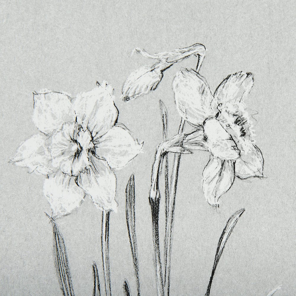Mercana - Botanical sketches II Grey by Mercana Studio Hand Embellished Framed Art Print Matted under Glass - 14535 view 7