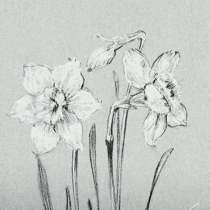 Mercana - Botanical sketches II Grey by Mercana Studio Hand Embellished Framed Art Print Matted under Glass - 14535 view 7