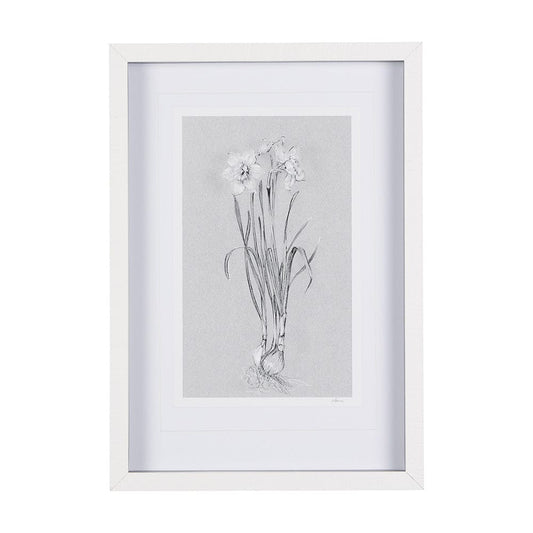 Mercana - Botanical sketches II Grey by Mercana Studio Hand Embellished Framed Art Print Matted under Glass - 14593 view 1