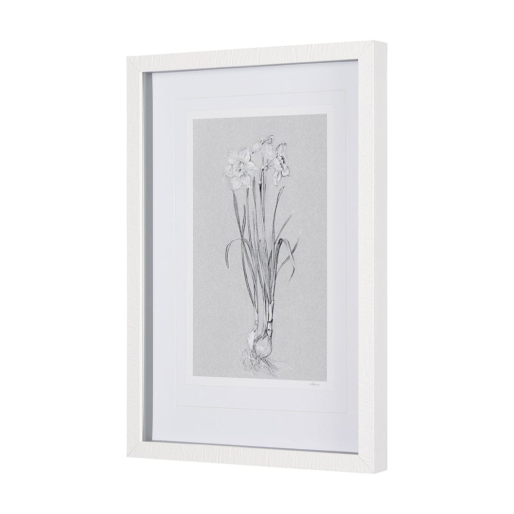 Mercana - Botanical sketches II Grey by Mercana Studio Hand Embellished Framed Art Print Matted under Glass - 14593 view 2