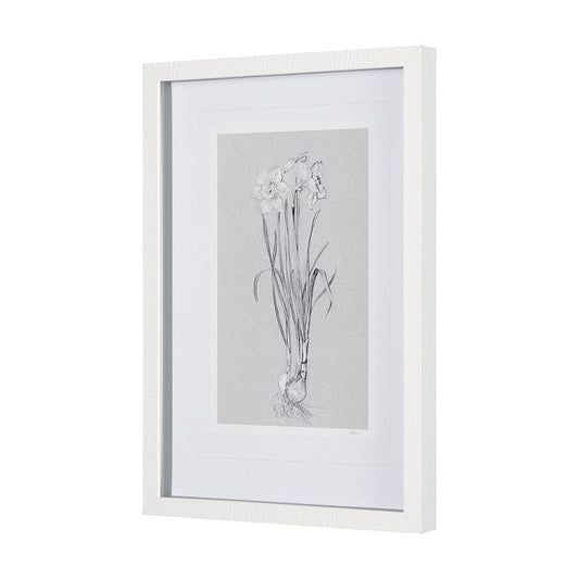 Mercana - Botanical sketches II Grey by Mercana Studio Hand Embellished Framed Art Print Matted under Glass - 14593 view 2
