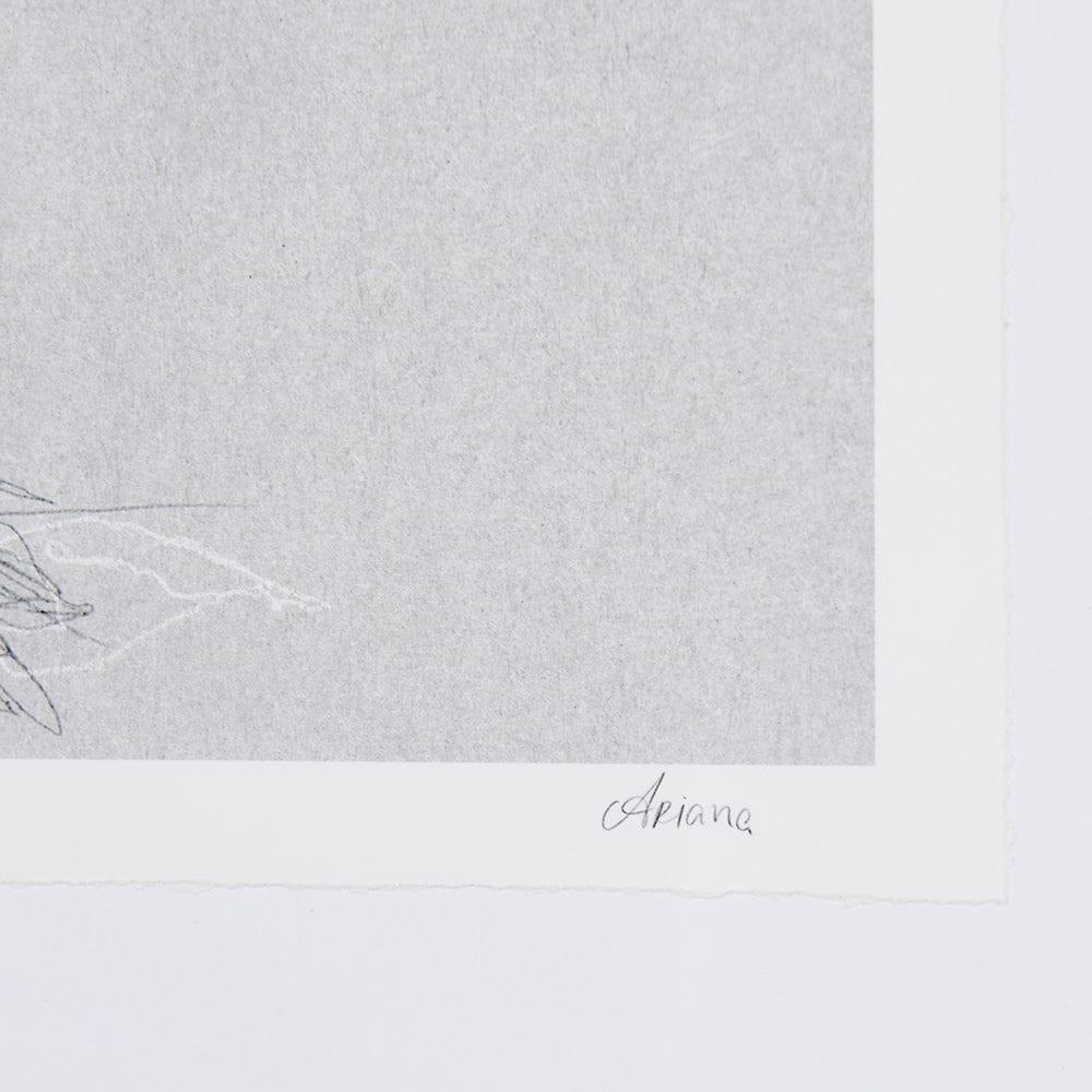 Mercana - Botanical sketches II Grey by Mercana Studio Hand Embellished Framed Art Print Matted under Glass - 14593 view 6