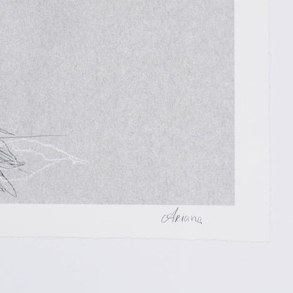 Mercana - Botanical sketches II Grey by Mercana Studio Hand Embellished Framed Art Print Matted under Glass - 14593 view 6