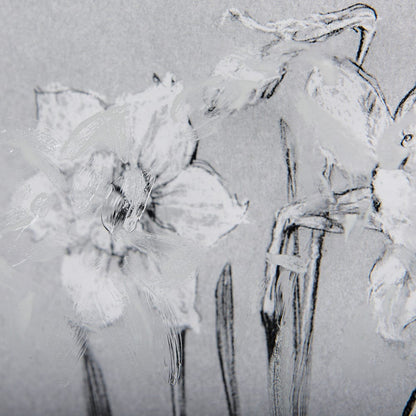 Mercana - Botanical sketches II Grey by Mercana Studio Hand Embellished Framed Art Print Matted under Glass - 14593 view 7