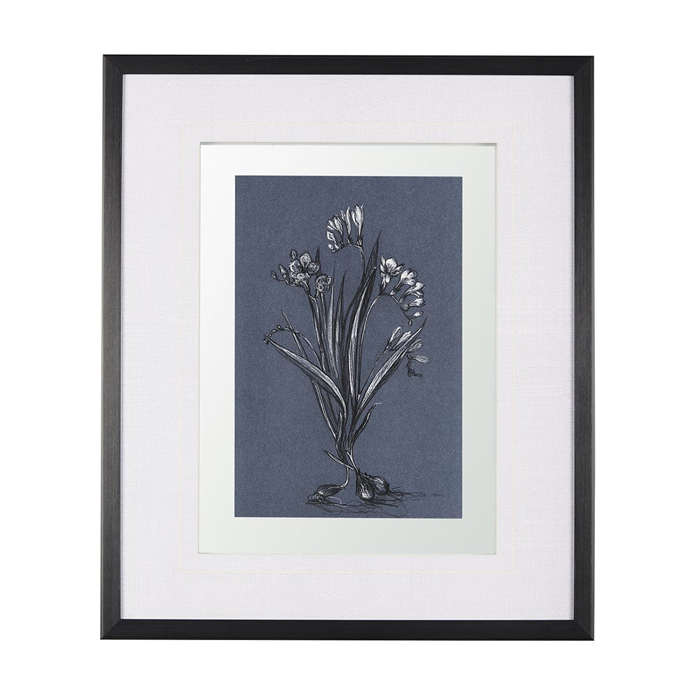 Mercana - Botanical sketches III Blue by Mercana Studio Hand Embellished Framed Art Print Matted under Glass - 14571 view 1